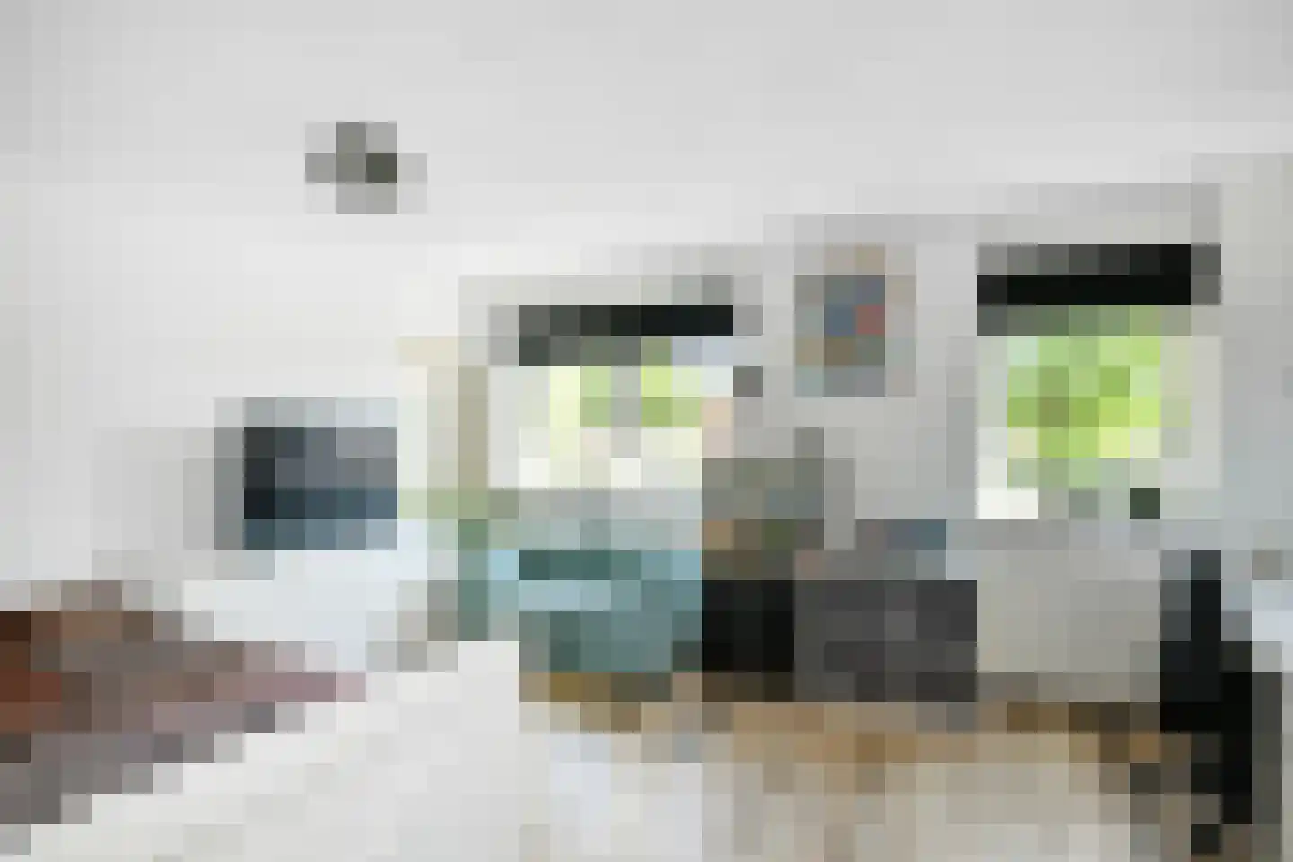 Horizon 146 Elst thumbnail 14