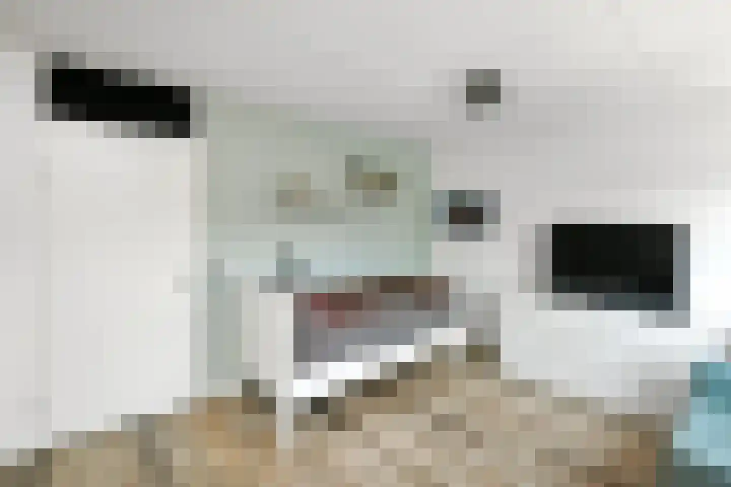 Horizon 146 Elst thumbnail 15