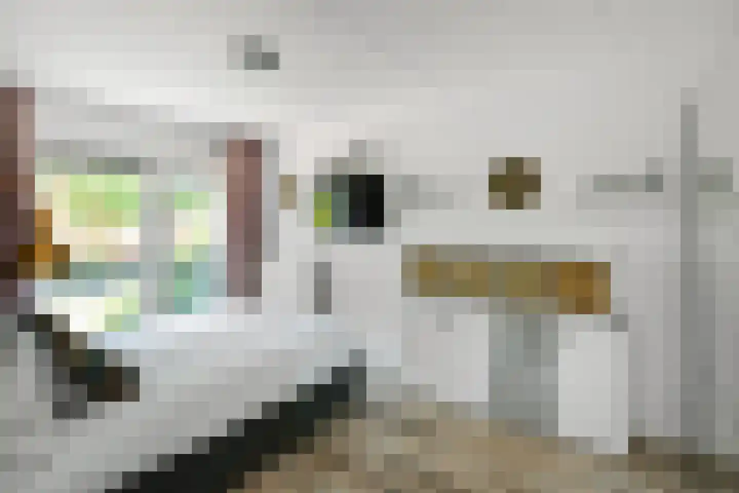 Horizon 146 Elst thumbnail 16
