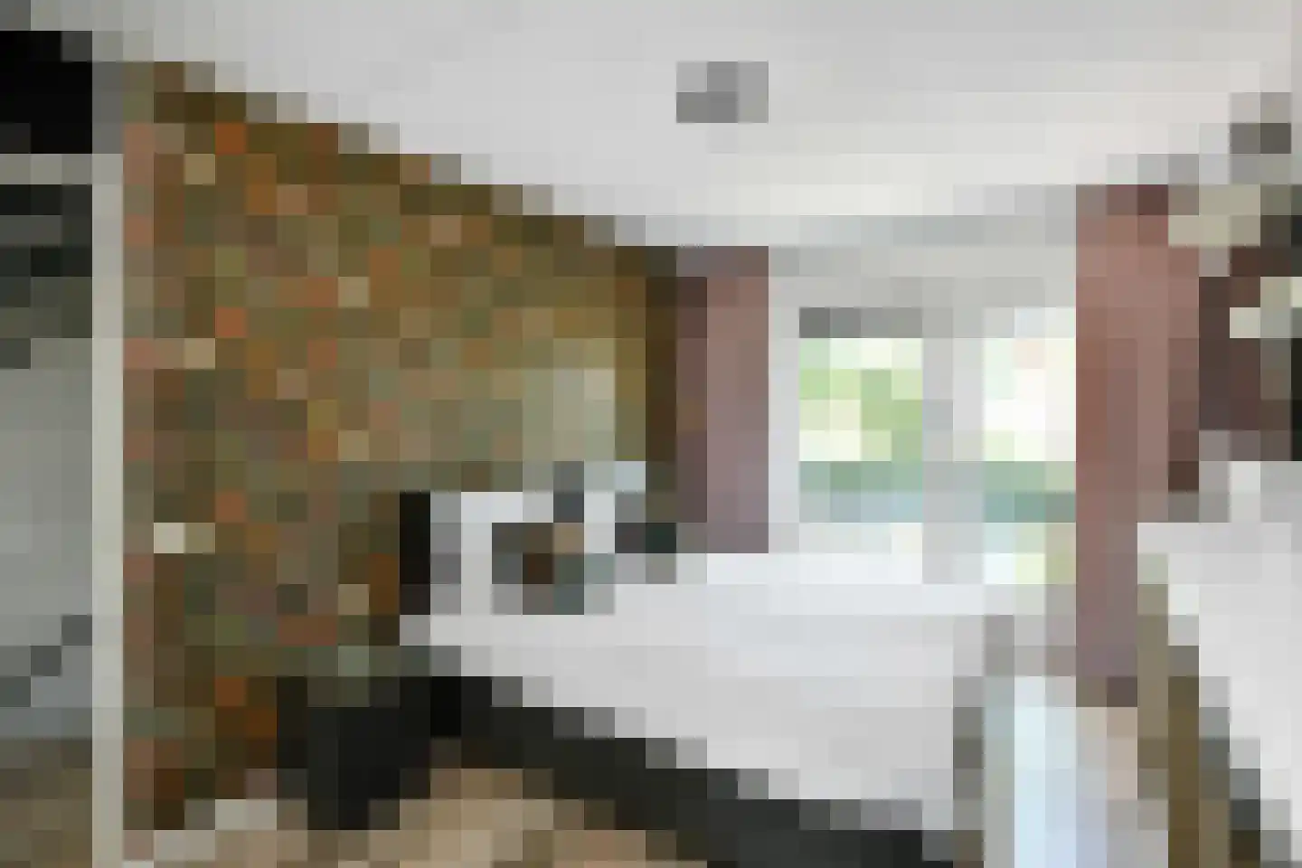 Horizon 146 Elst thumbnail 17