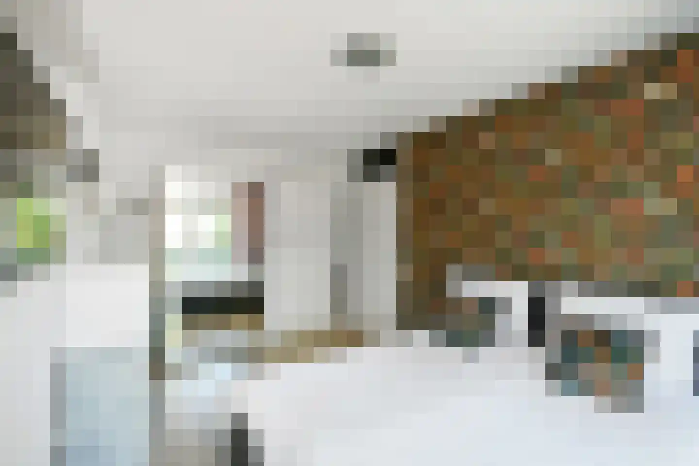 Horizon 146 Elst thumbnail 18