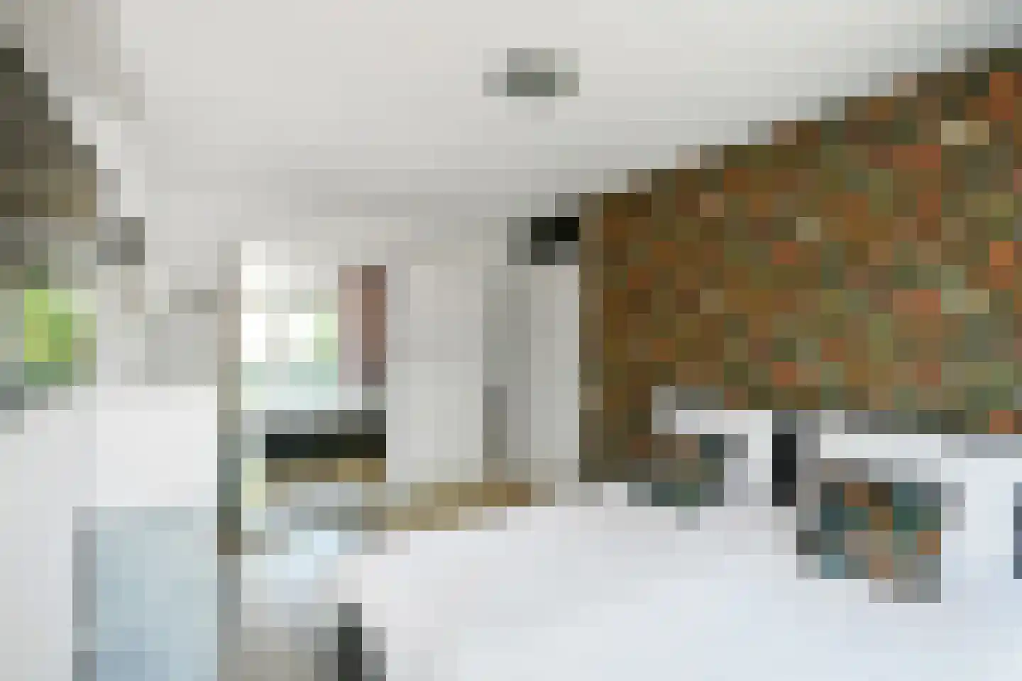 Horizon 146 Elst thumbnail 19