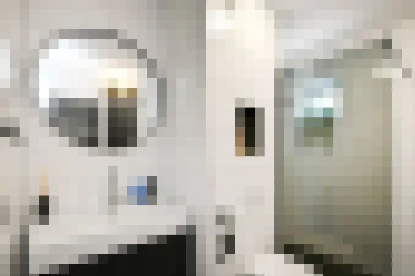Horizon 146 Elst thumbnail 20