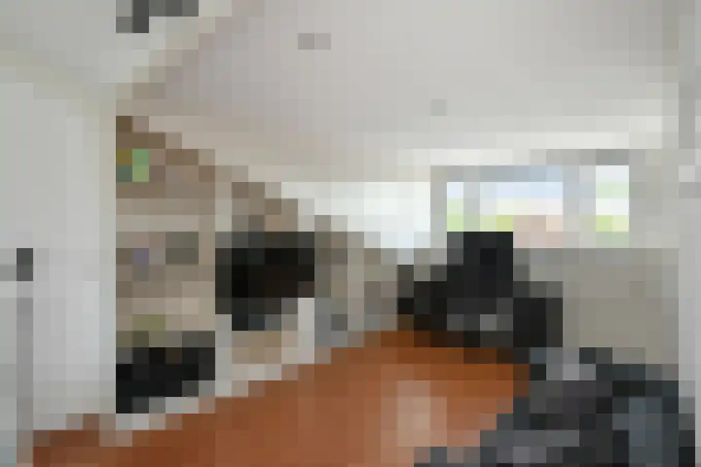 Horizon 146 Elst thumbnail 28