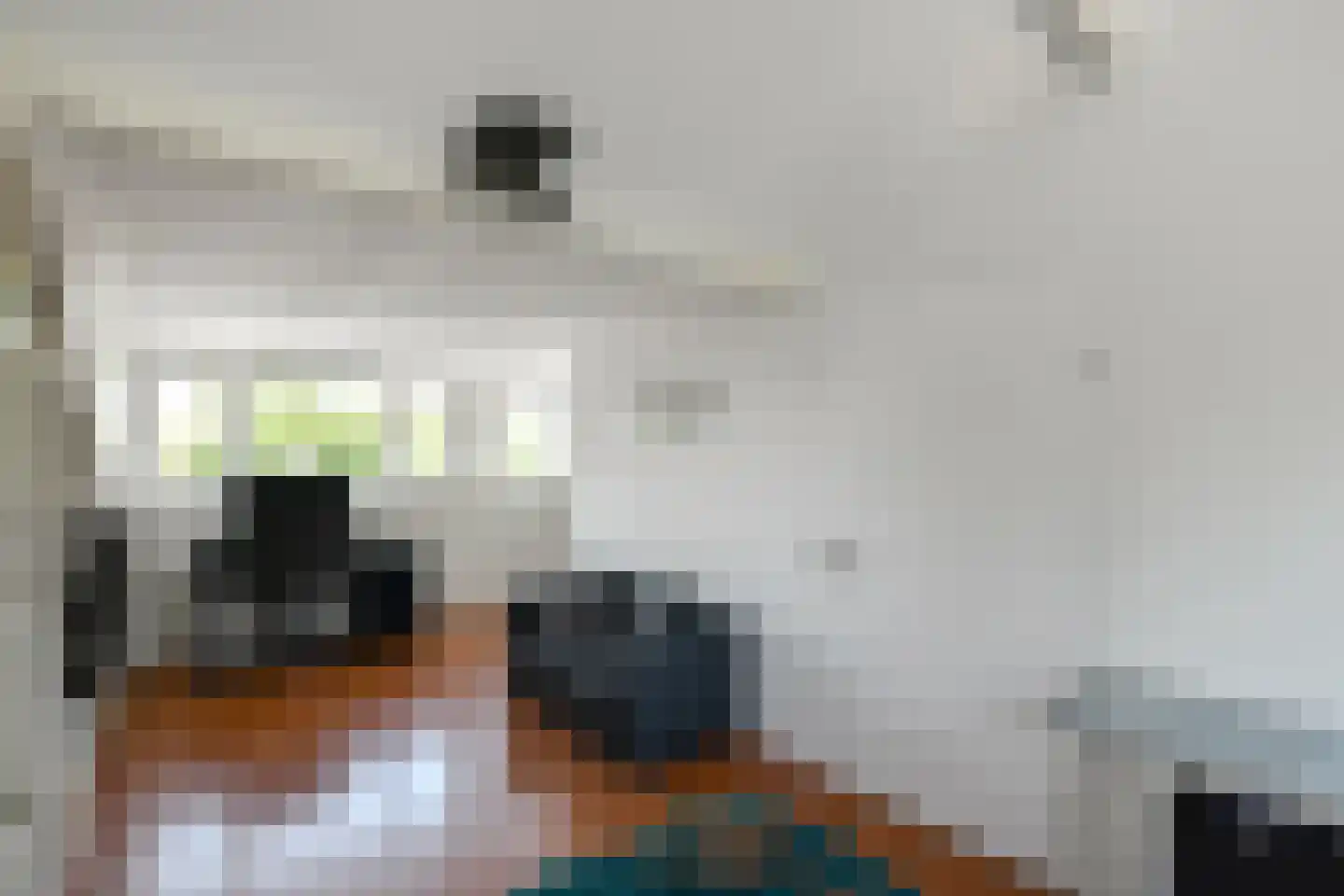Horizon 146 Elst thumbnail 29