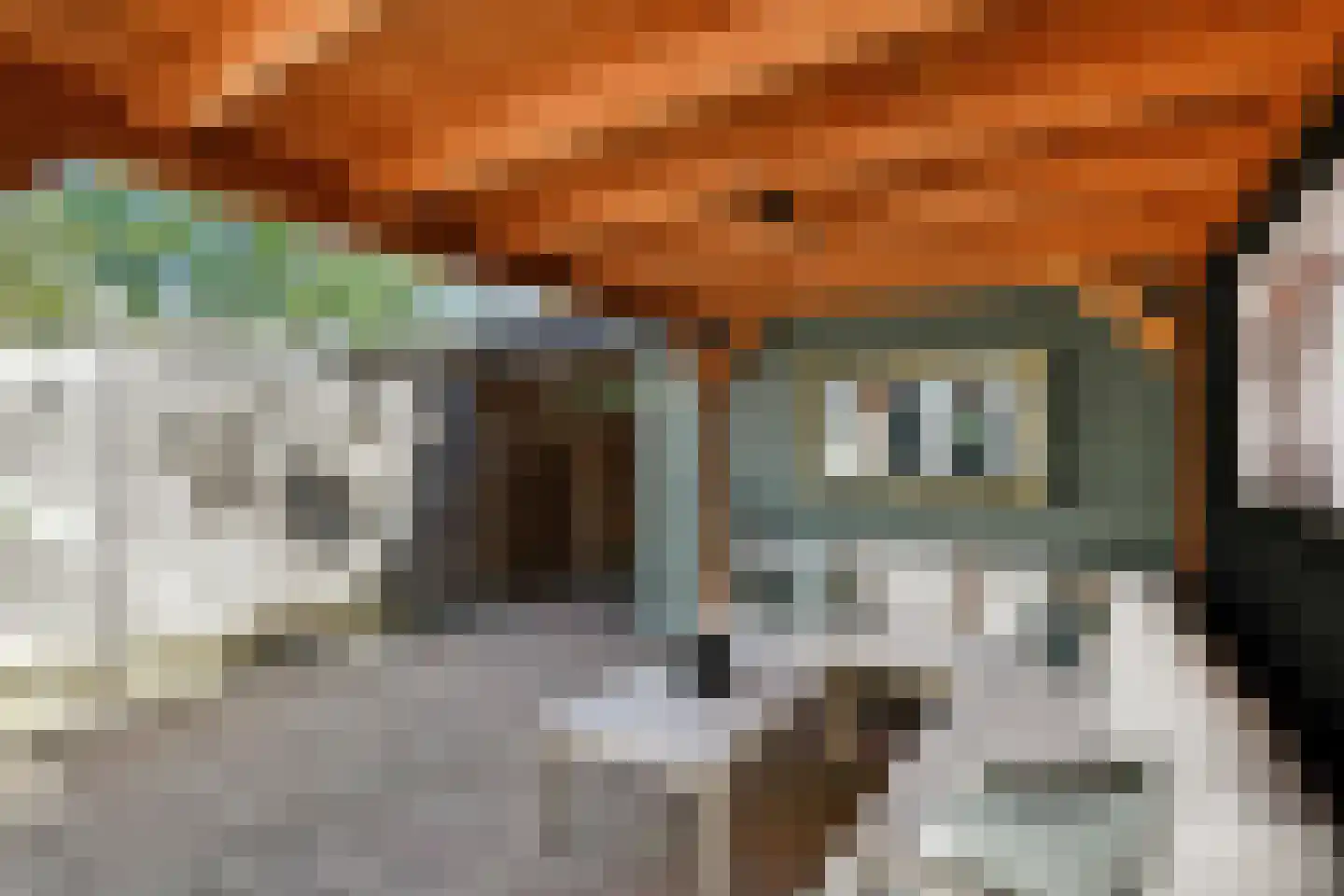 Horizon 146 Elst thumbnail 33