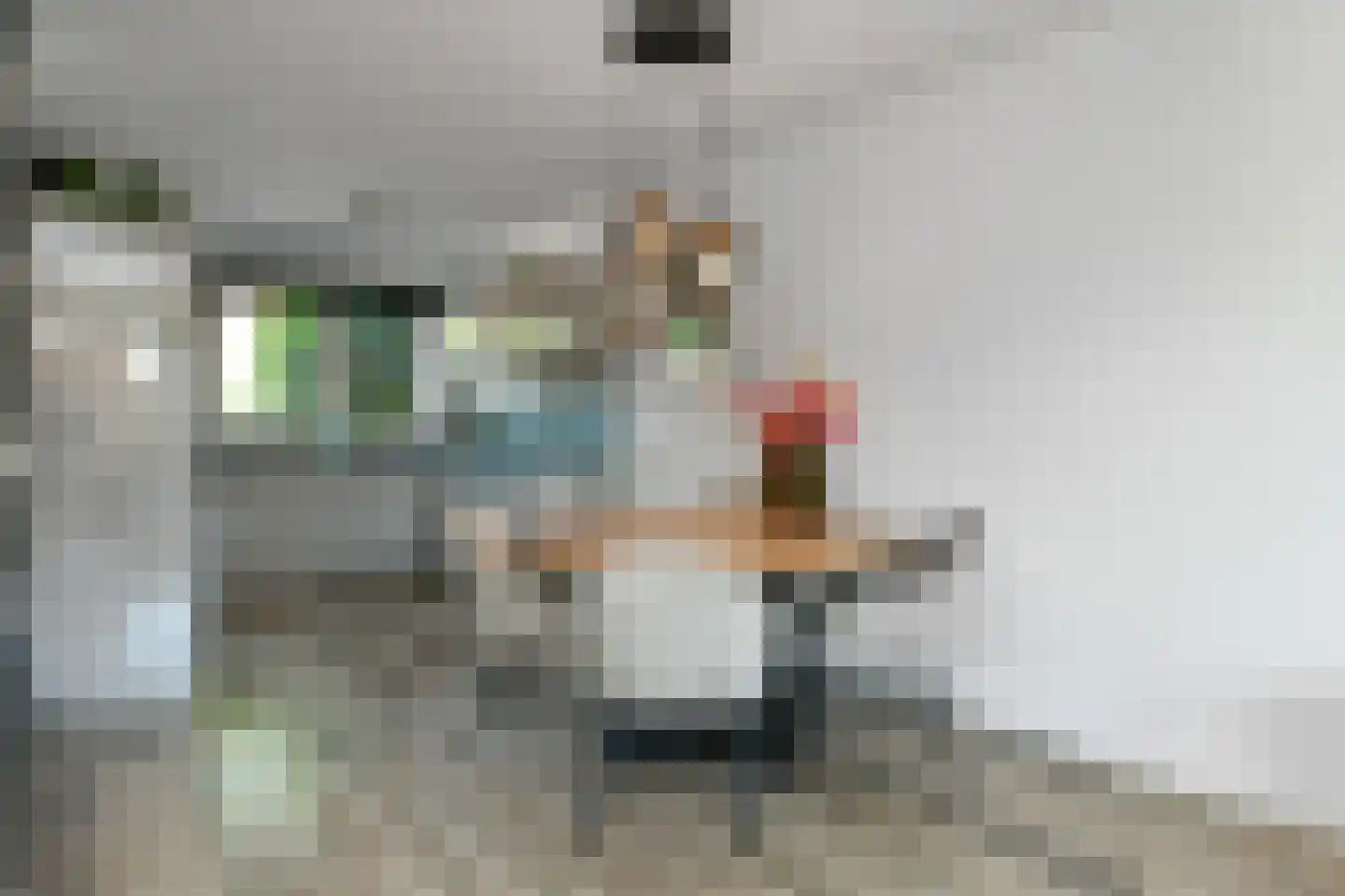 Horizon 146 Elst thumbnail 7
