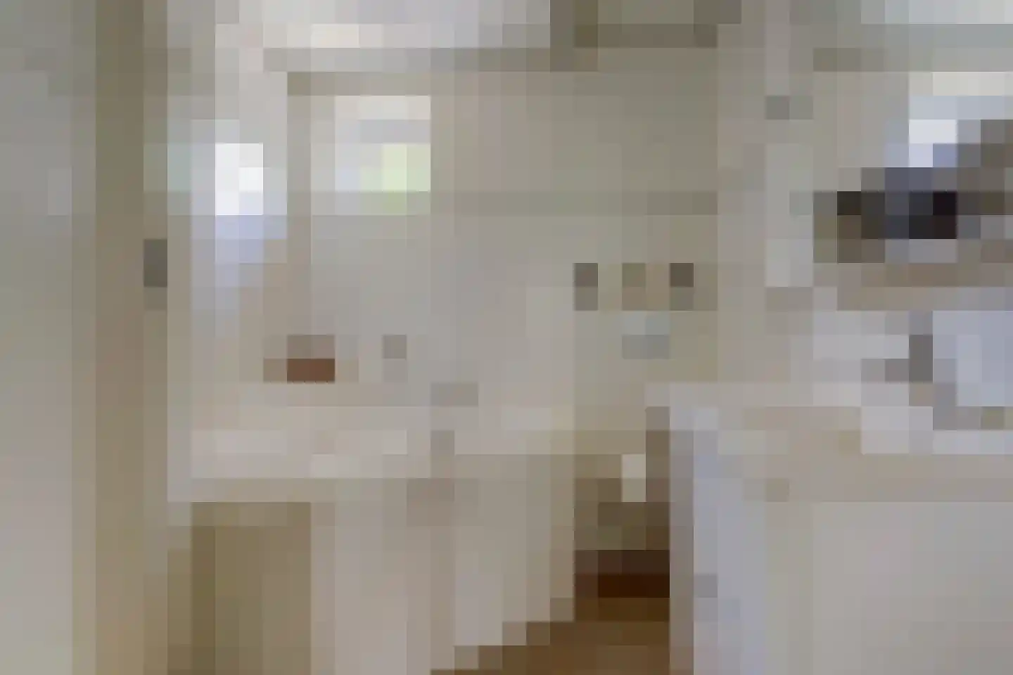 Horizon 168 Elst thumbnail 19