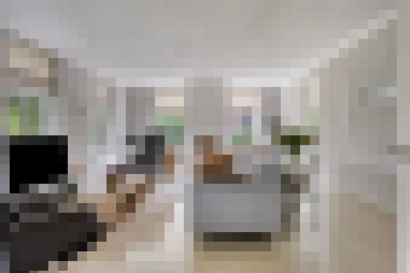 Horizon 21 Bladel thumbnail 17