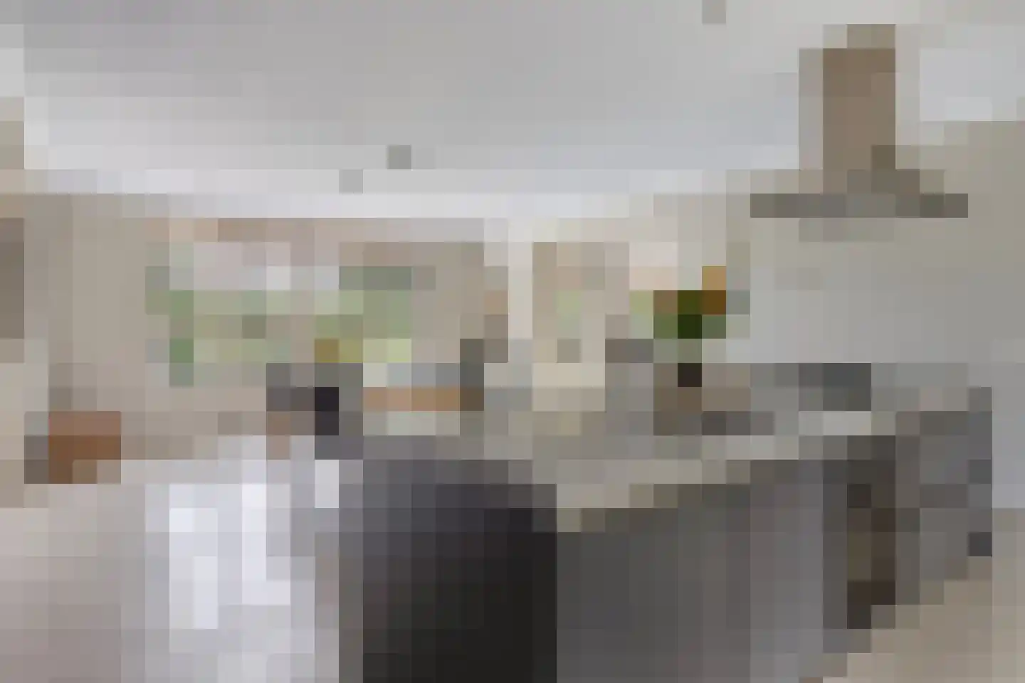 Horizon 21 Bladel thumbnail 19