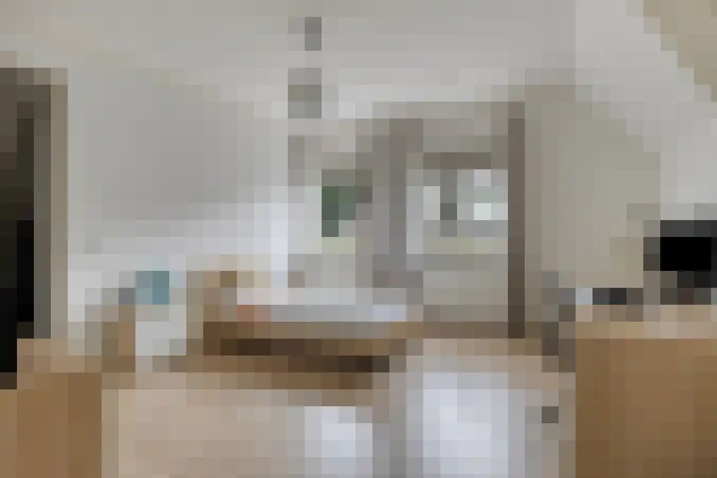 Horizon 21 Bladel thumbnail 33