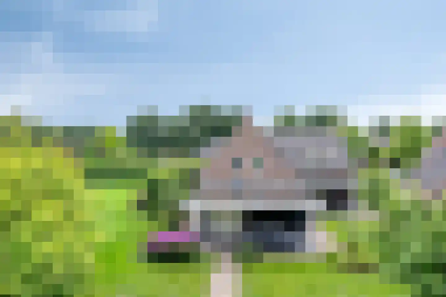 Horizon 21 Bladel thumbnail 4