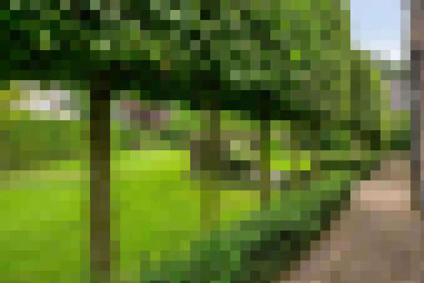 Horizon 21 Bladel thumbnail 46