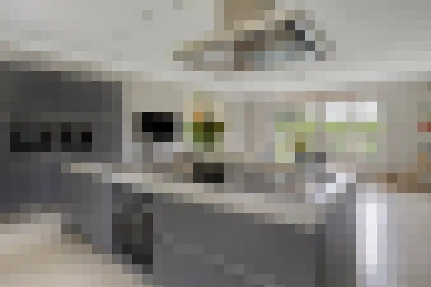 Horizon 21 Bladel thumbnail 5