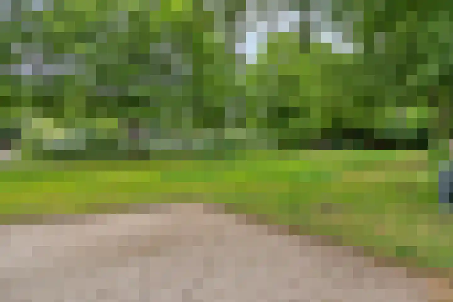 Horizon 21 Bladel thumbnail 54