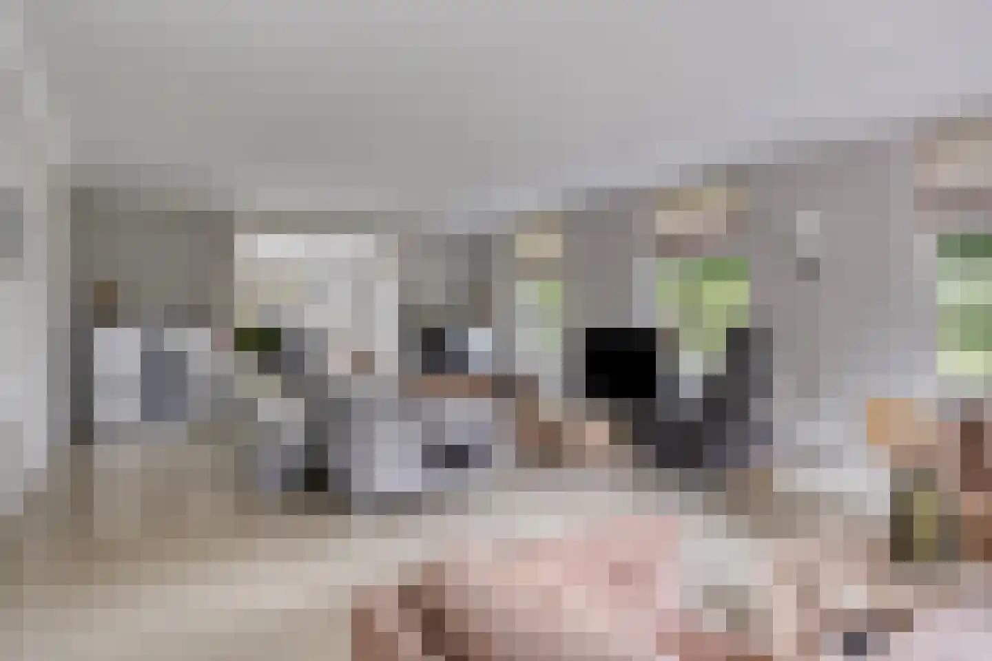Horizon 21 Bladel thumbnail 7