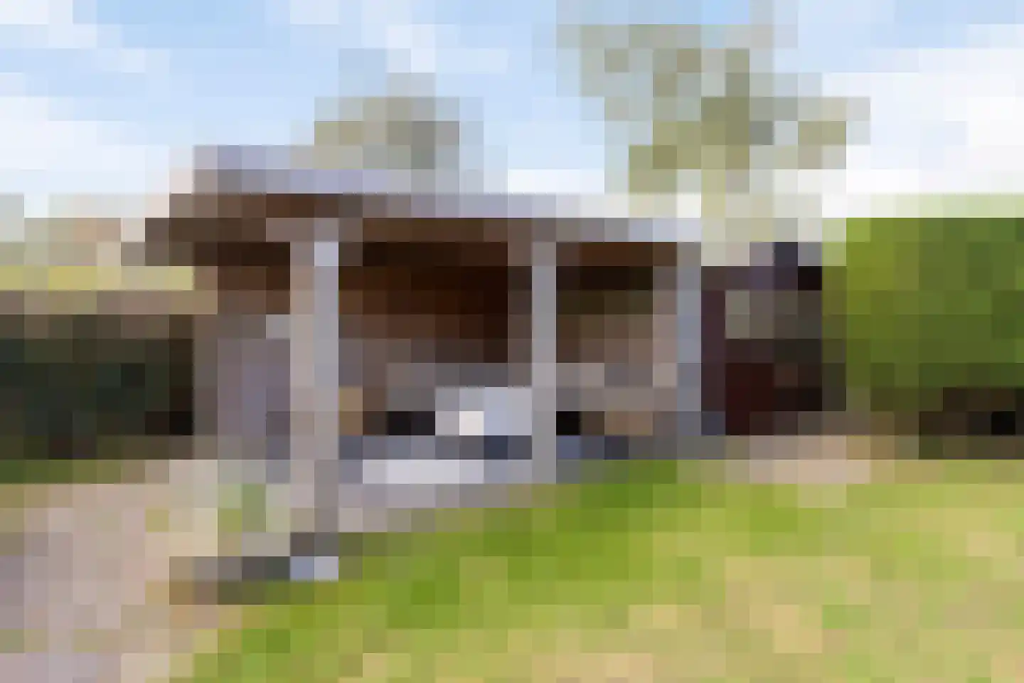 Horizon 49 Renesse thumbnail 37