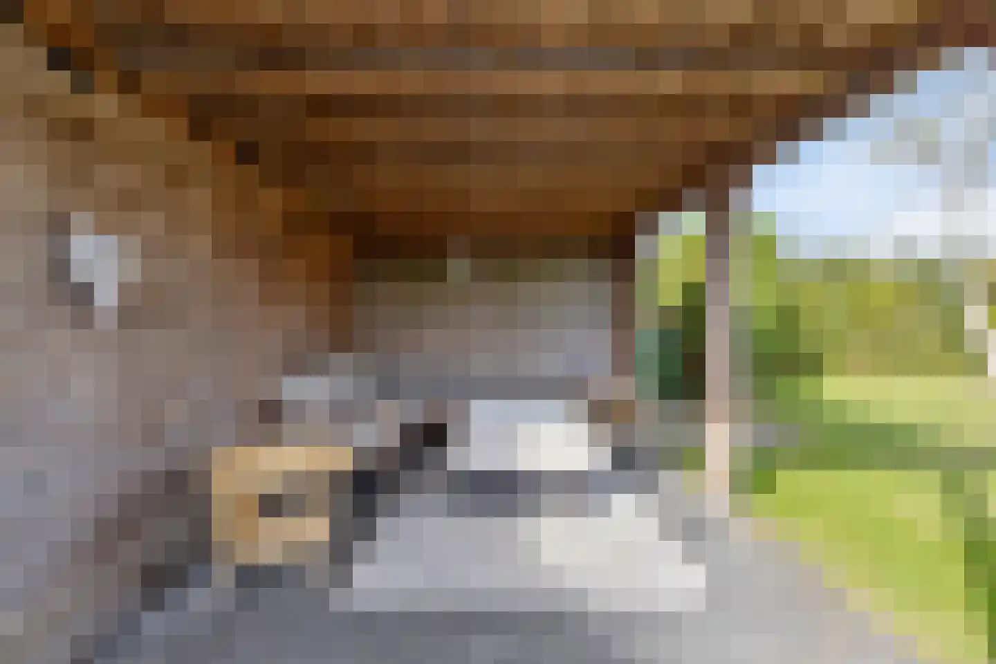 Horizon 49 Renesse thumbnail 38