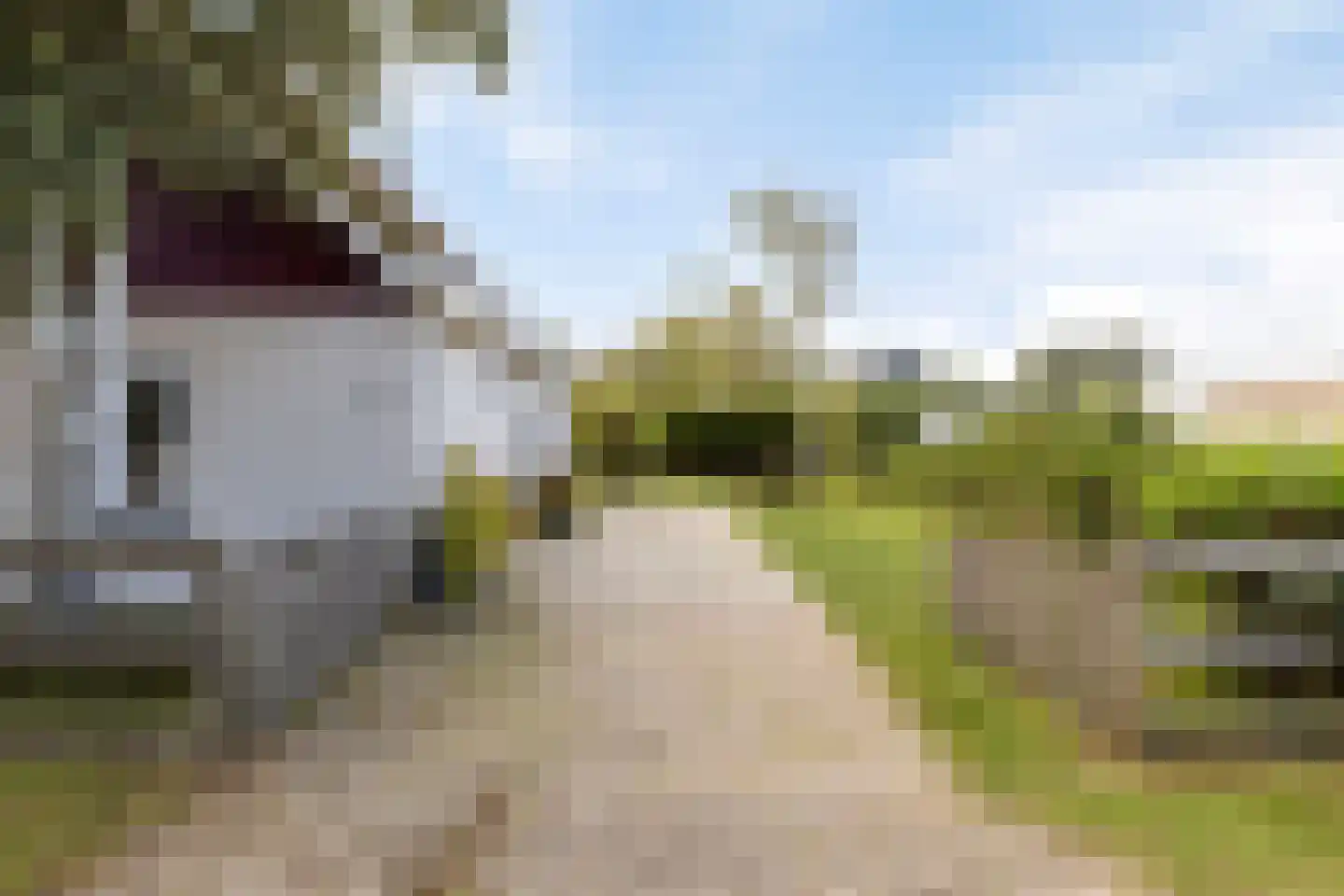 Horizon 49 Renesse thumbnail 45