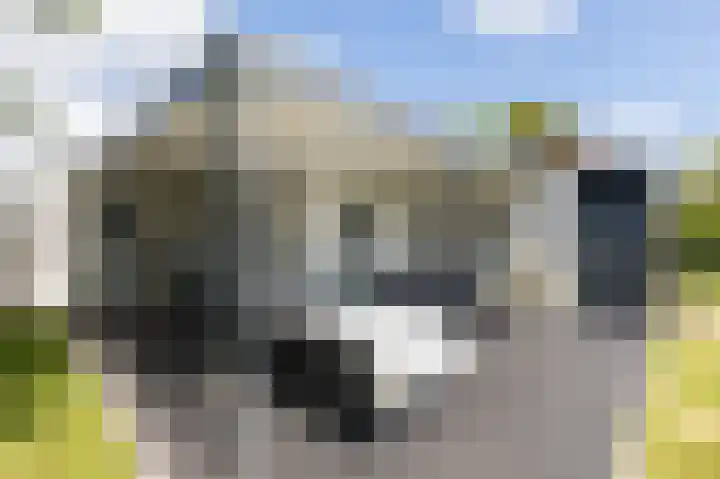 Horizon 60 Renesse thumbnail 16