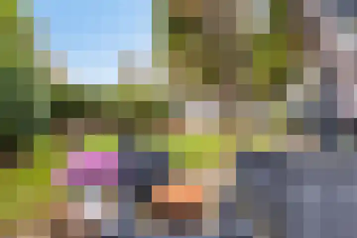 Horizon 62 Renesse thumbnail 25