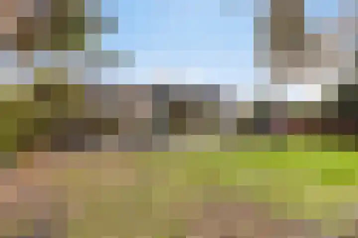 Horizon 62 Renesse thumbnail 26