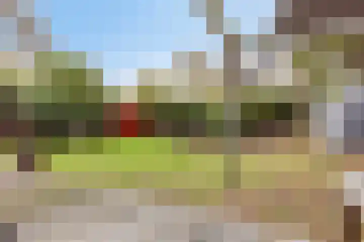 Horizon 62 Renesse thumbnail 27