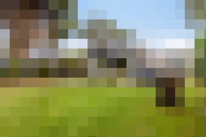 Horizon 62 Renesse thumbnail 28