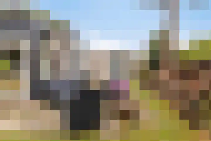 Horizon 62 Renesse thumbnail 29