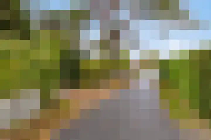 Horizon 62 Renesse thumbnail 4