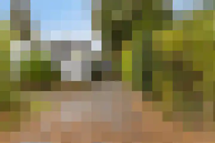 Horizon 62 Renesse thumbnail 5