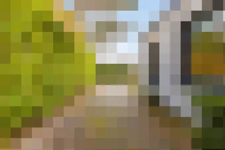 Horizon 62 Renesse thumbnail 6