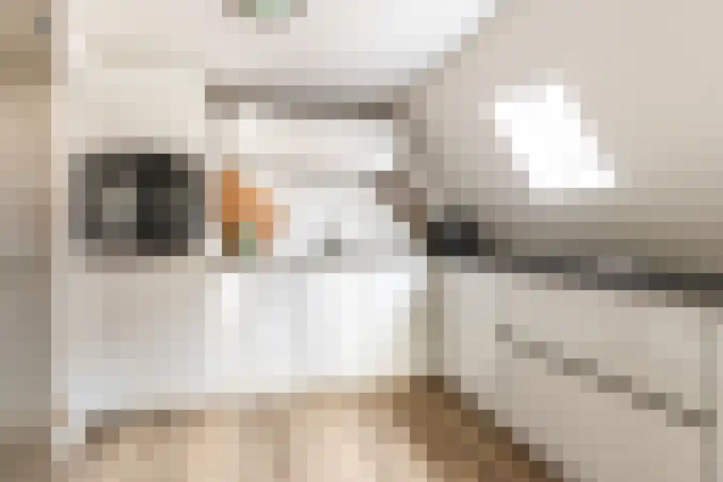 Horizon 65 Klazienaveen thumbnail 5