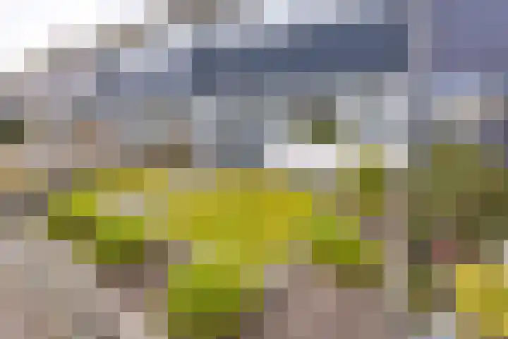 Horizon 65 Klazienaveen thumbnail 5