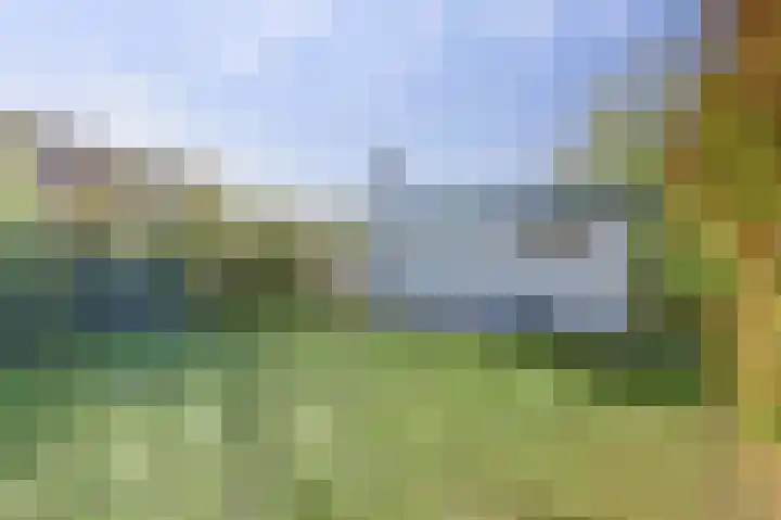 Horizon 94 Renesse thumbnail 15