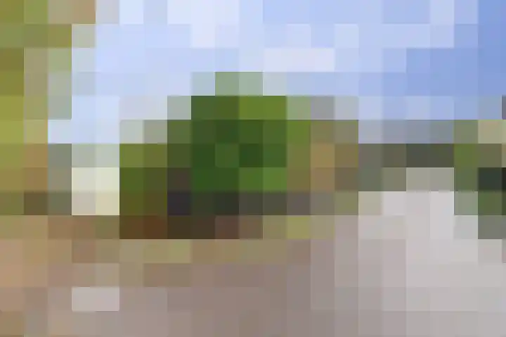 Horizon 94 Renesse thumbnail 17