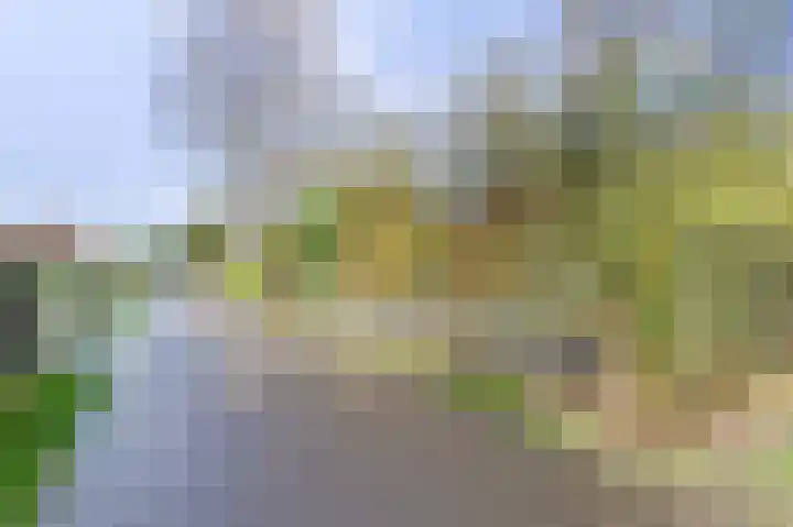 Horizon 94 Renesse thumbnail 18