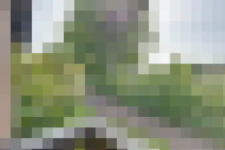 Horizonstraat 49 Brunssum thumbnail 32