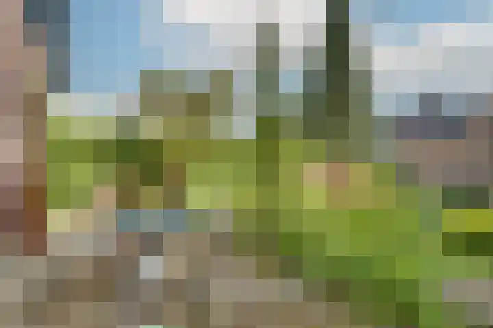 Horizonstraat 49 Brunssum thumbnail 37