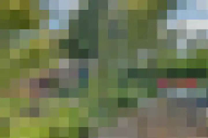 Horizonstraat 49 Brunssum thumbnail 38