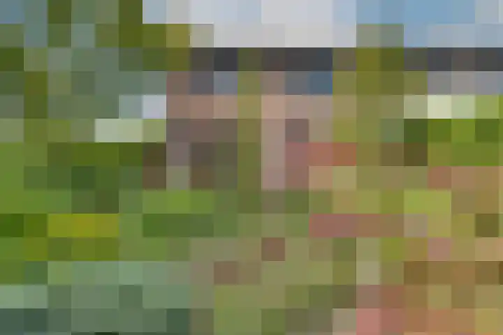 Horizonstraat 49 Brunssum thumbnail 40