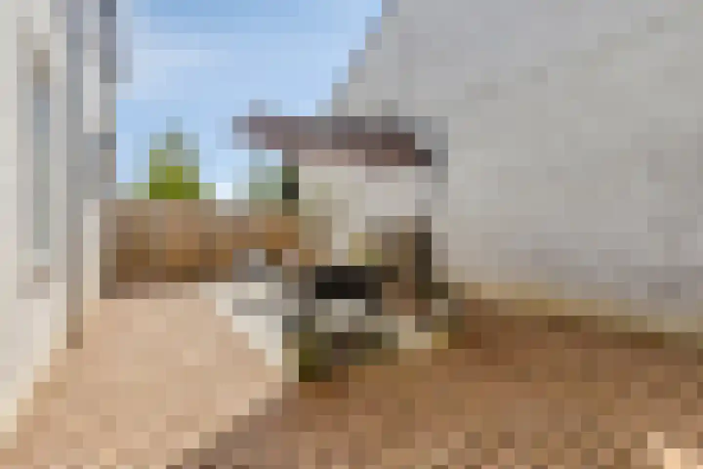 Horizonstraat 84 Brunssum thumbnail 25