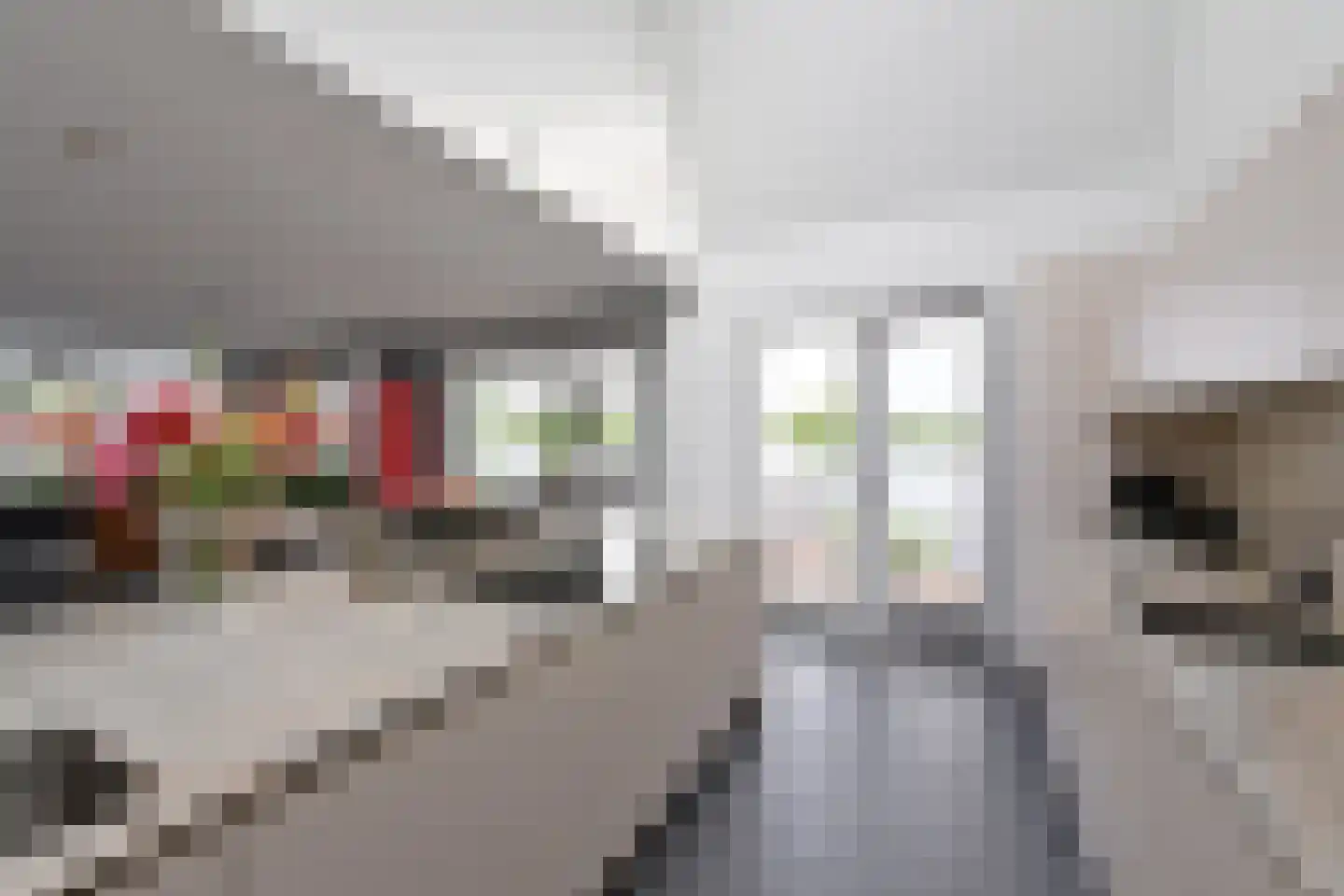 Horn 12 Weesp thumbnail 6