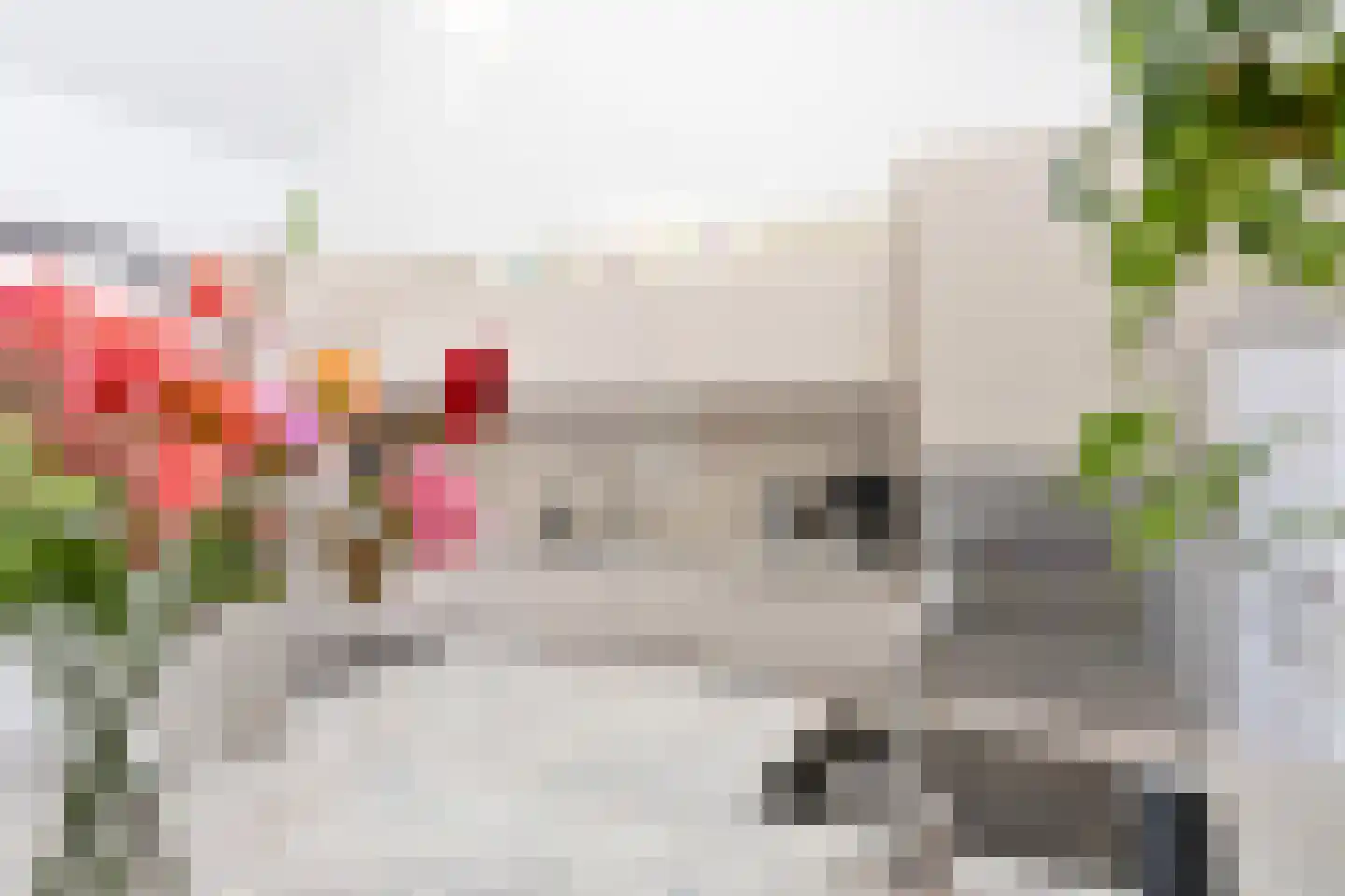 Horn 12 Weesp thumbnail 7