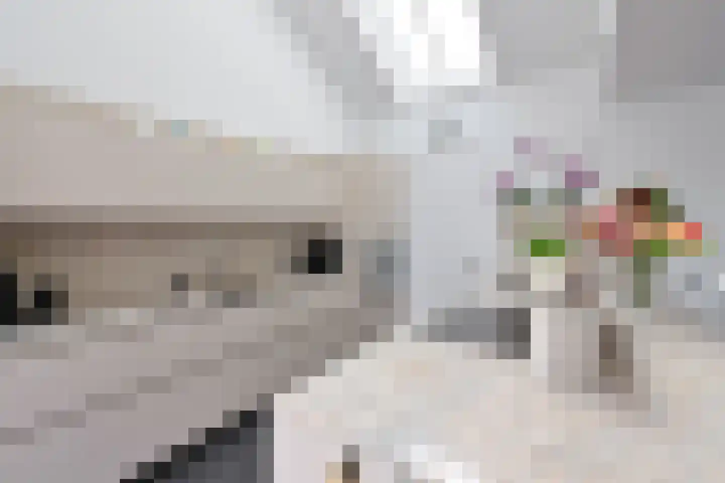 Horn 12 Weesp thumbnail 8
