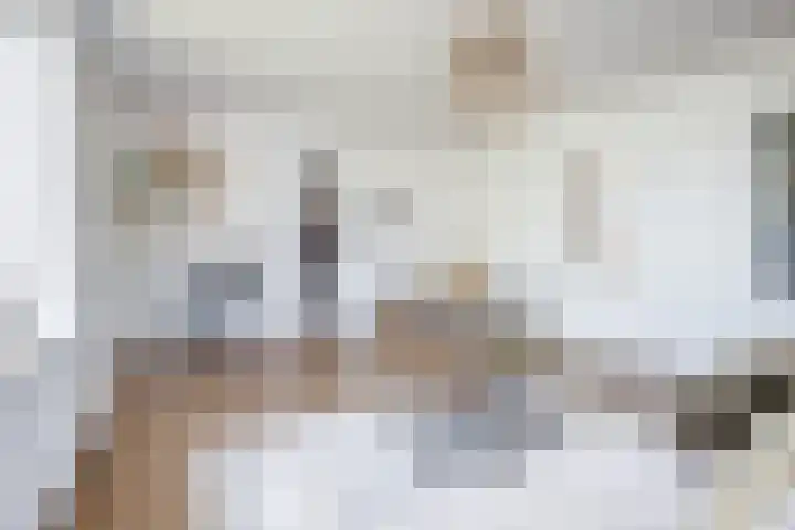 Horn 27 Lutjebroek thumbnail 10