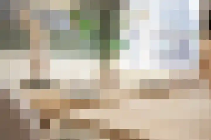 Horn 27 Lutjebroek thumbnail 18