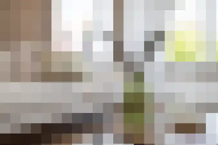 Horn 27 Lutjebroek thumbnail 20