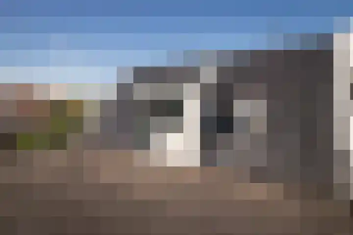 Horn 27 Lutjebroek thumbnail 30