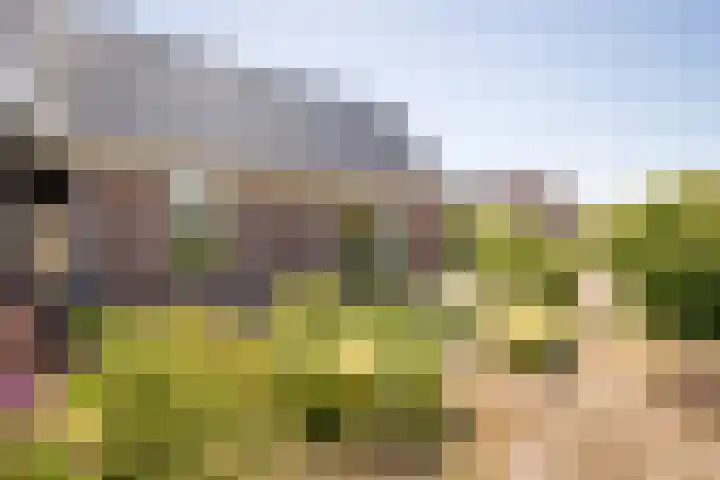 Horn 27 Lutjebroek thumbnail 39